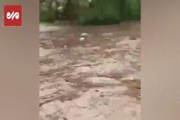 فیلم ناراحت کننده و وحشتناک از لحظه غرق افراد در سیل استهبان دیروز 