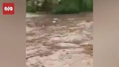 فیلم ناراحت کننده و وحشتناک از لحظه غرق افراد در سیل استهبان دیروز 