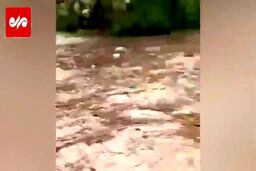 فیلم ناراحت کننده و وحشتناک از لحظه غرق افراد در سیل استهبان دیروز 