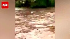 فیلم ناراحت کننده و وحشتناک از لحظه غرق افراد در سیل استهبان دیروز 