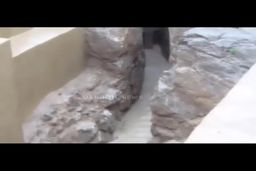 سیل تخت جمشید را هم برد! | سیل وحشتناک در شیراز تا تخت جمشید هم پیش رفت! + فیلم